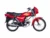 New Road Prince RP 110CC Jack Pot Bike