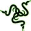 Razer Laptop