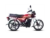 United EV Revolt Electric Bike